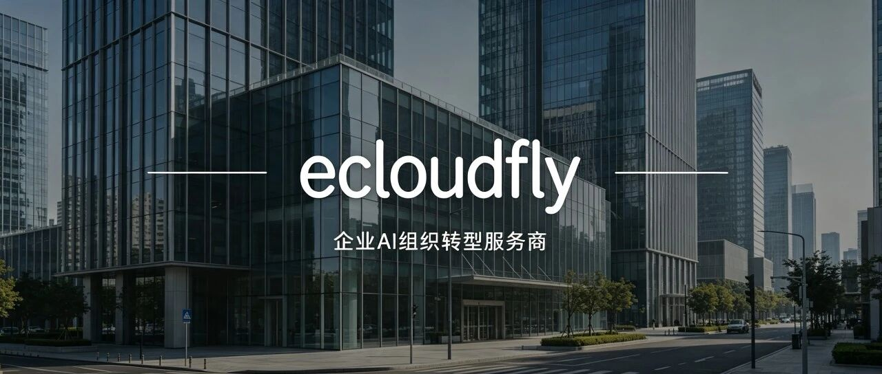 云飞扬：华南领先的 AI 组织转型服务商，腾讯云/企业微信/WorkBuddy 等官方服务商